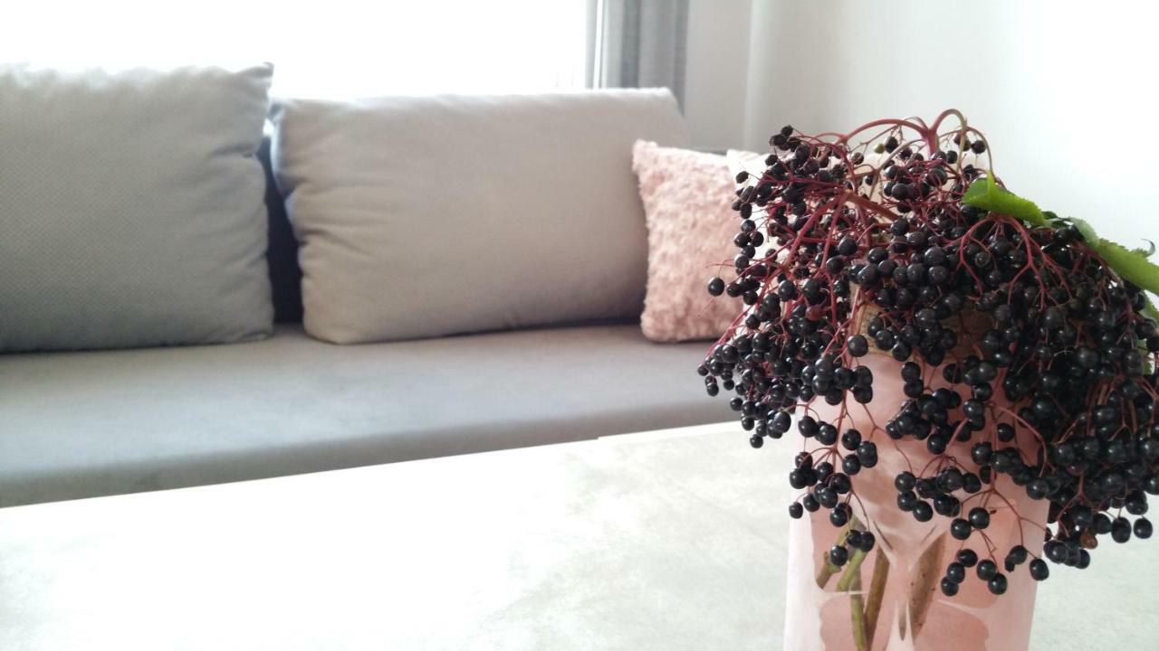 Apartment Royals Flower Iii Krakow